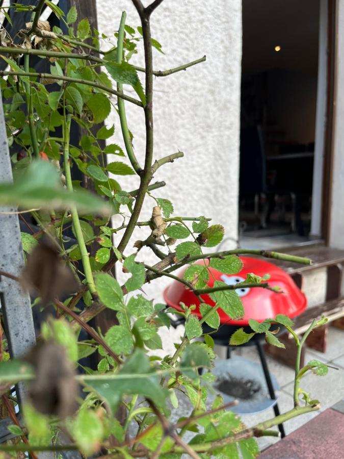 Alpina Haus Apartman Oberammergau Kültér fotó